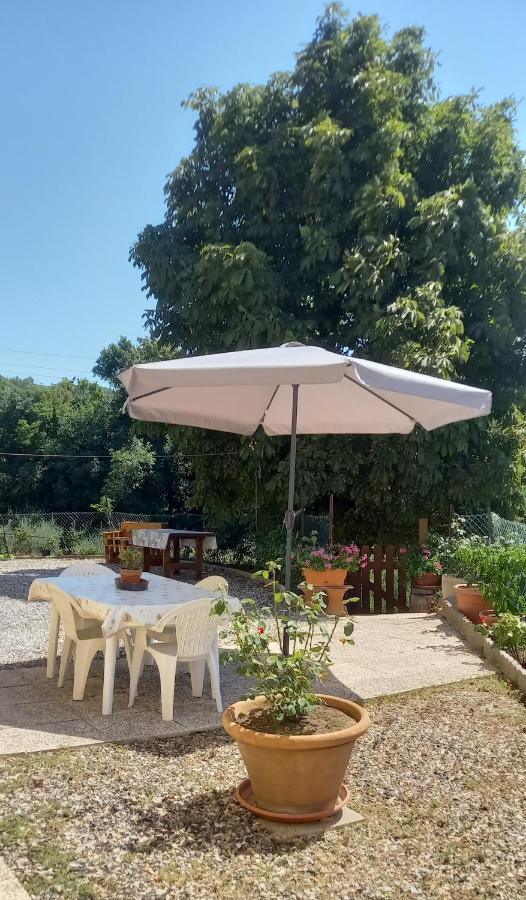 Appartamento Bellavista Castellina Marittima Eksteriør bilde